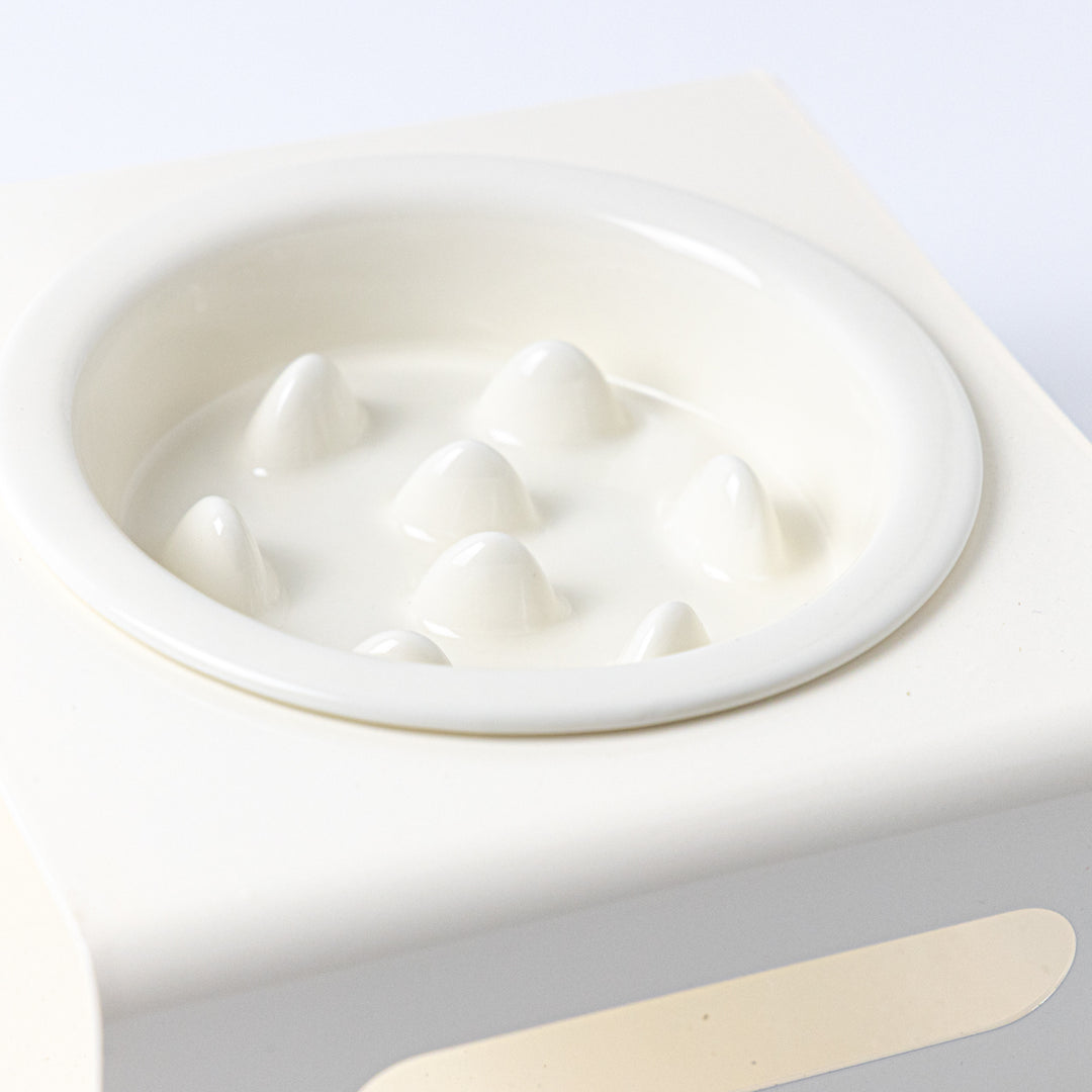 早食い防止 陶器フードボウルとメタルスタンド|アイボリー