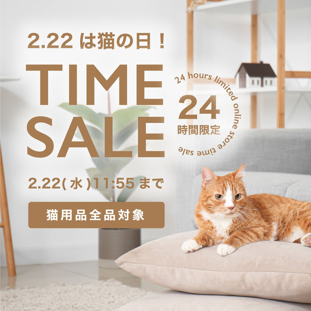 2.22(水)は猫の日！24時間限定セール開催