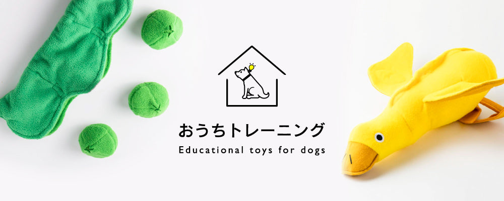 おうちトレーニング 犬用ノーズワーク2種類入荷