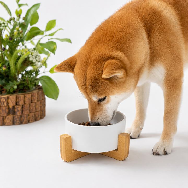 陶器と竹木の頸椎保護フードボウル