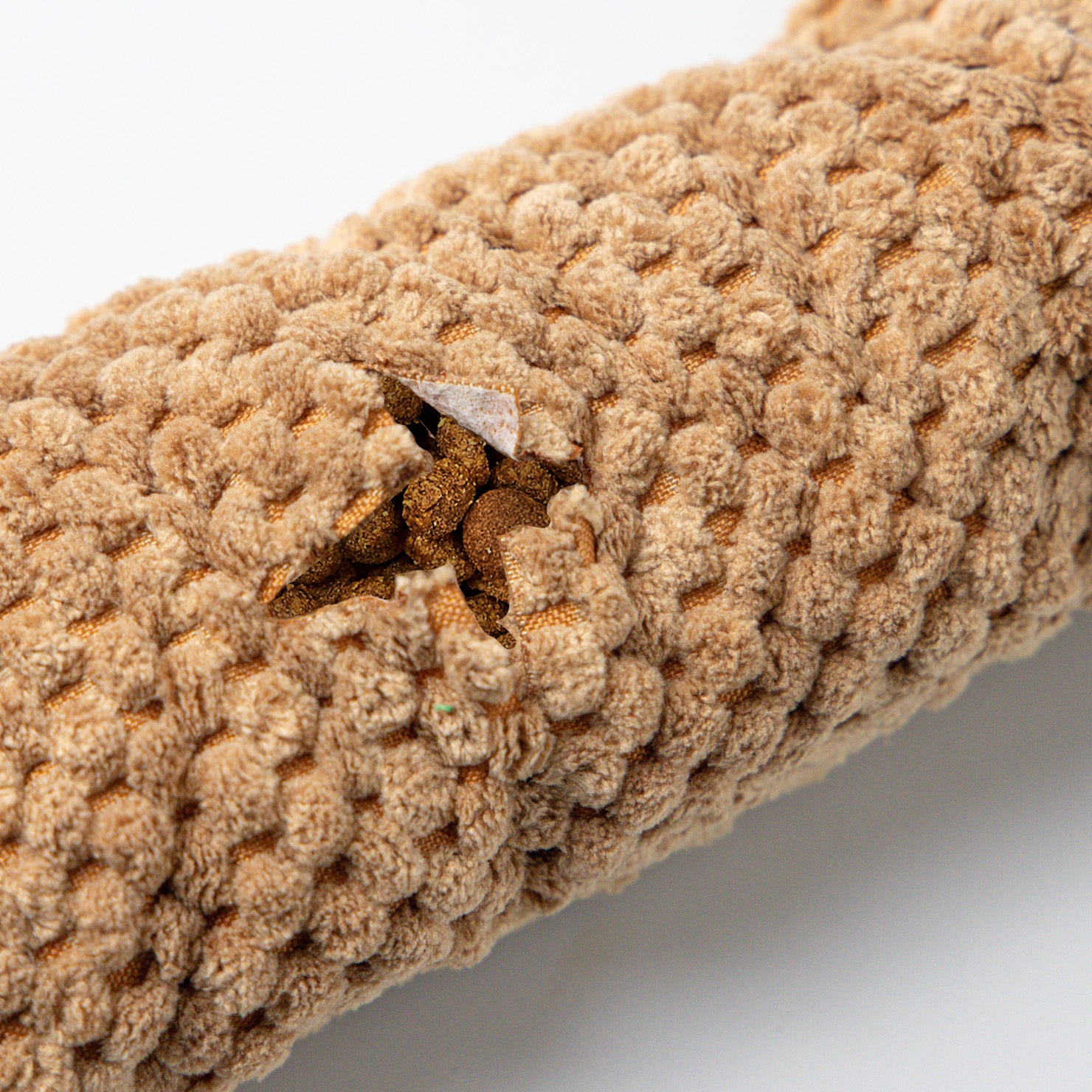 犬用知育玩具 ノーズワークおもちゃ｜緑のカタツムリ – Dr.pettle