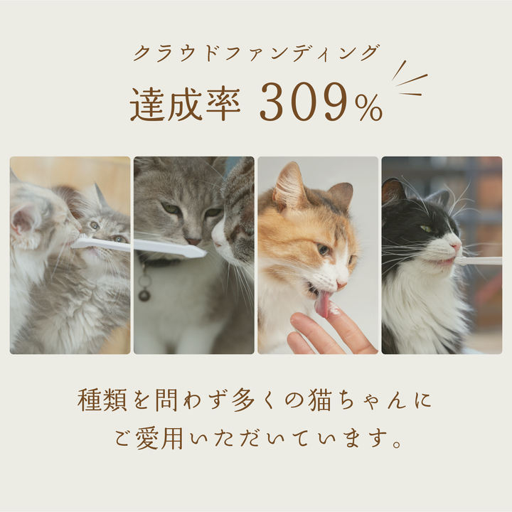 猫専用歯磨き粉 デンタルケア おすすめ