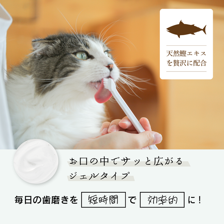 天然カツオエキス配合 猫用歯磨き粉