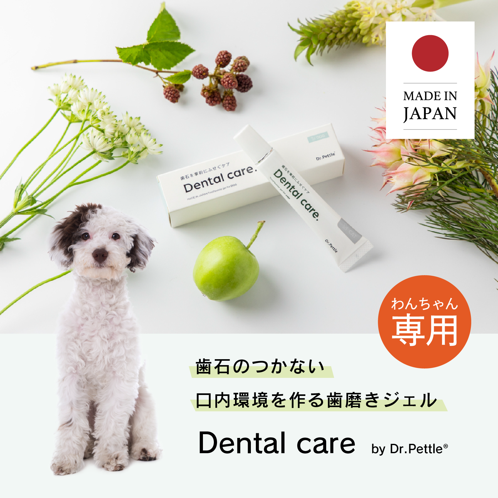 犬専用歯磨きジェルDental Care |歯石を事前に防ぐケアDr.pettle 犬専用歯磨きジェルDental Care |歯石を事前に防ぐケアDr.pettle