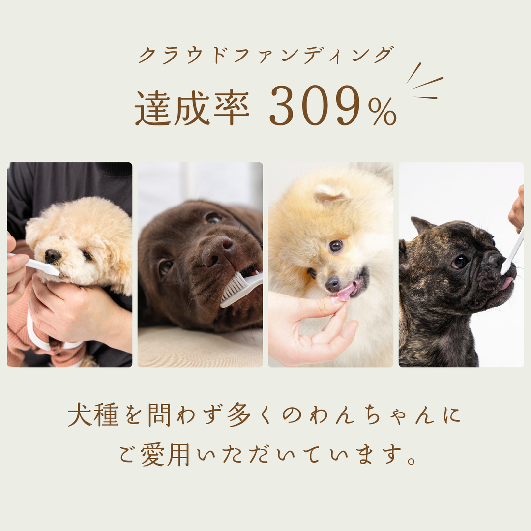 犬専用歯磨きジェルDental Care |歯石を事前に防ぐケアDr.pettle 犬専用歯磨きジェルDental Care |歯石を事前に防ぐケアDr.pettle