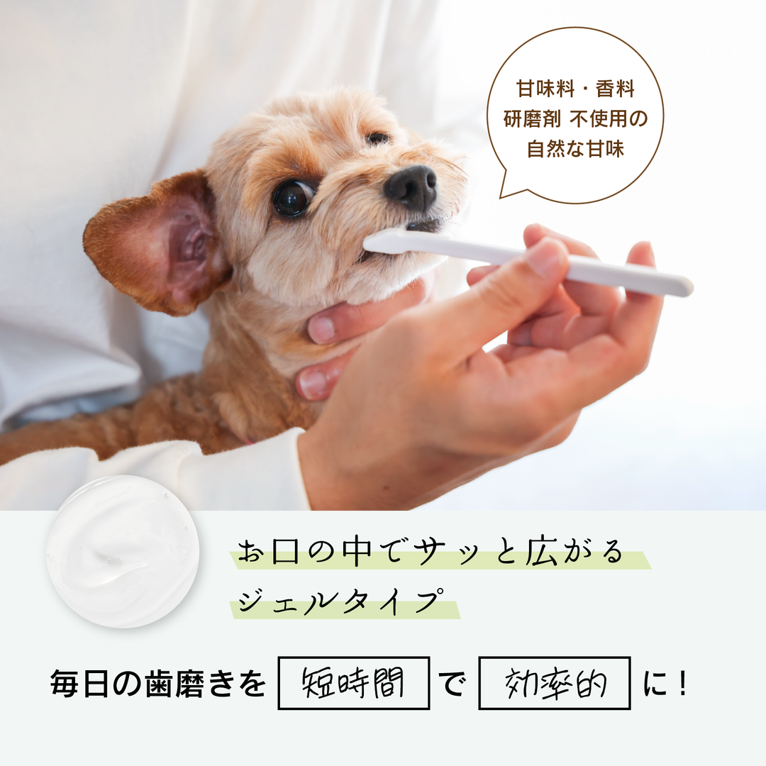 犬専用歯磨きジェルDental Care ｜歯石を事前に防ぐケアDr.pettle