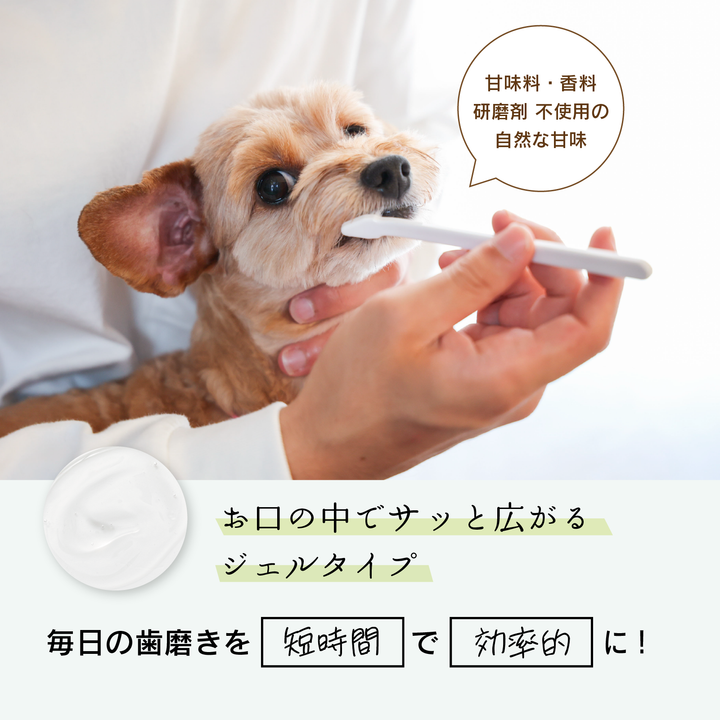 研磨剤不使用の犬用歯磨き粉