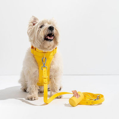 Air harness 3way Dog Leash